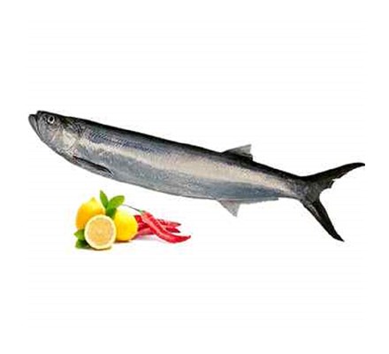 خواص ماهی خاروجنوب کلیک کنید (کد142)
